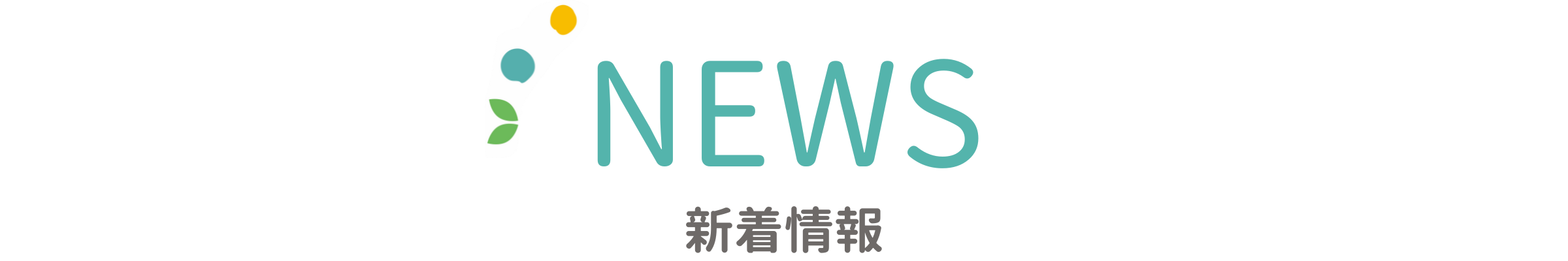 NEWS-新着情報-